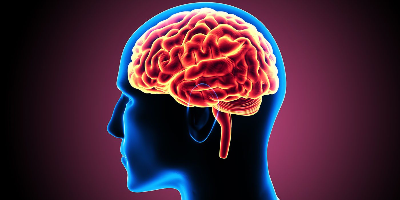 Brain Injury Attorney in Los Angeles - B|B Law Group